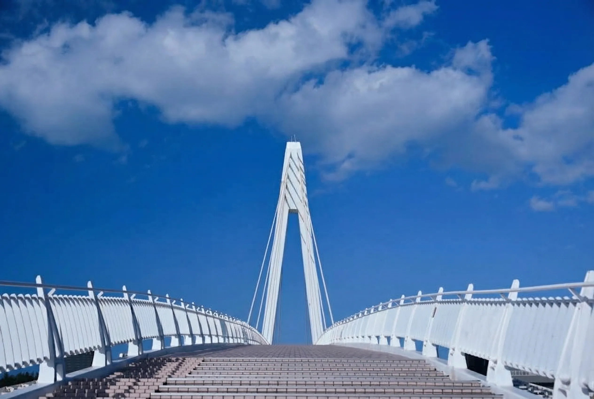 Photo with person removed by AI